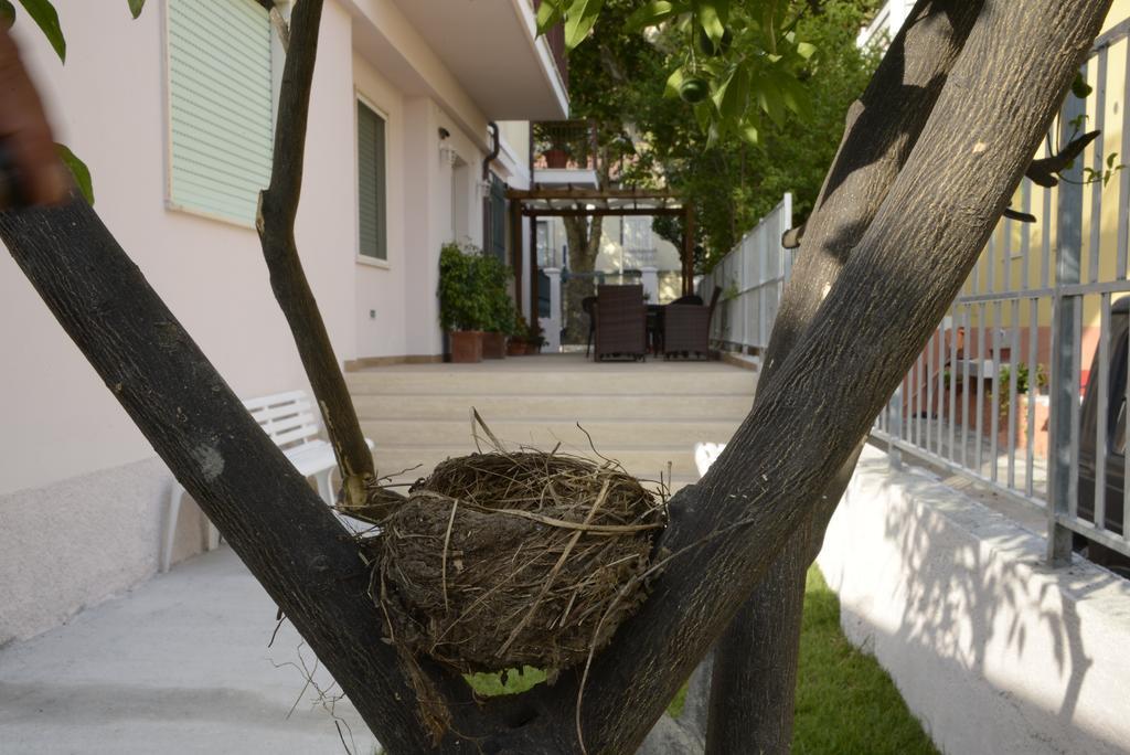 B&B Villa Degli Angeli Praia a Mare Dış mekan fotoğraf